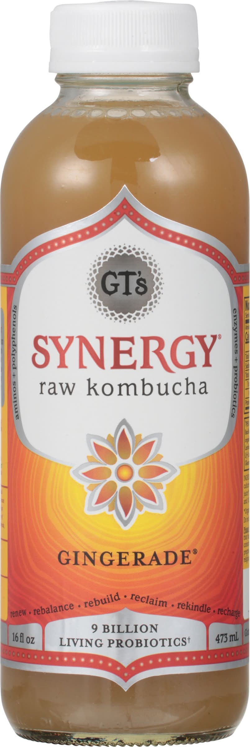 GT's Synergy the Real Kombucha Tea, Gingerade (16 fl oz)