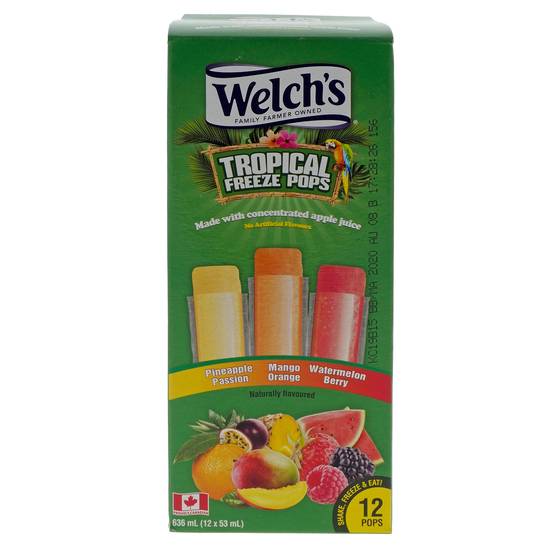 Welch'S Assorted Freeze Pops, 12Pc (12 x 40ml / 480ml)