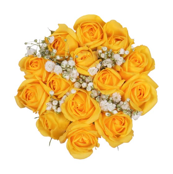 Bloom Haus Yellow Spray Rose Fresh Flower Bouquet