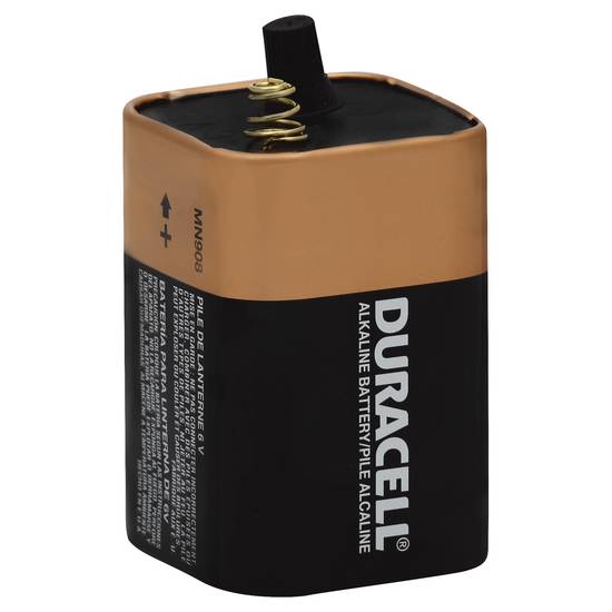 Duracell Alkaline 6v Battery