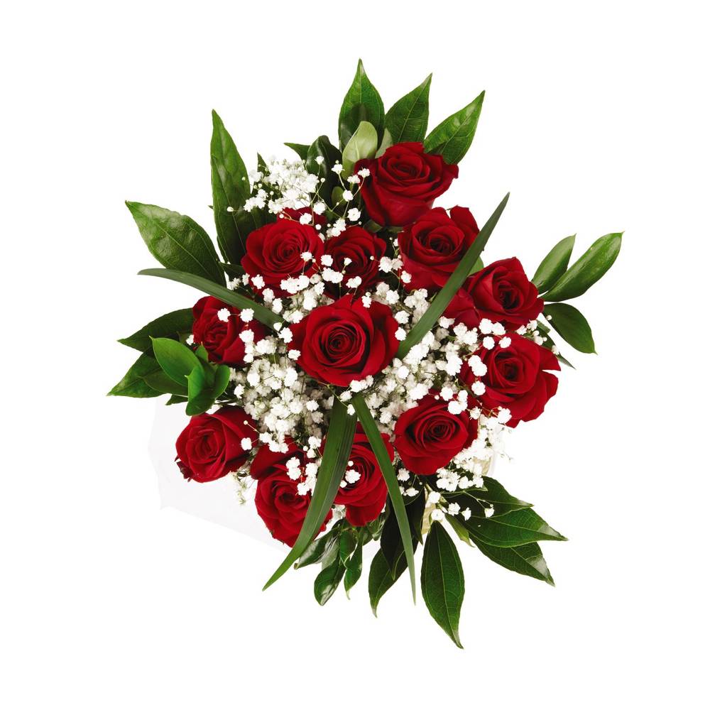 Nob Hill Trading Co. Dozen Red Rose Flower Bouquet 1 Ea