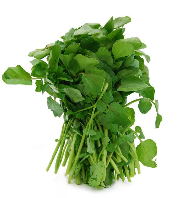 Watercress