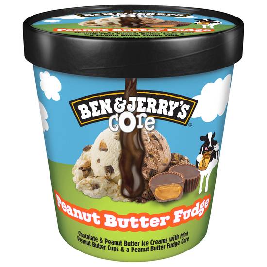 Ben & Jerry's Fudge Core Ice Cream (peanut butter)