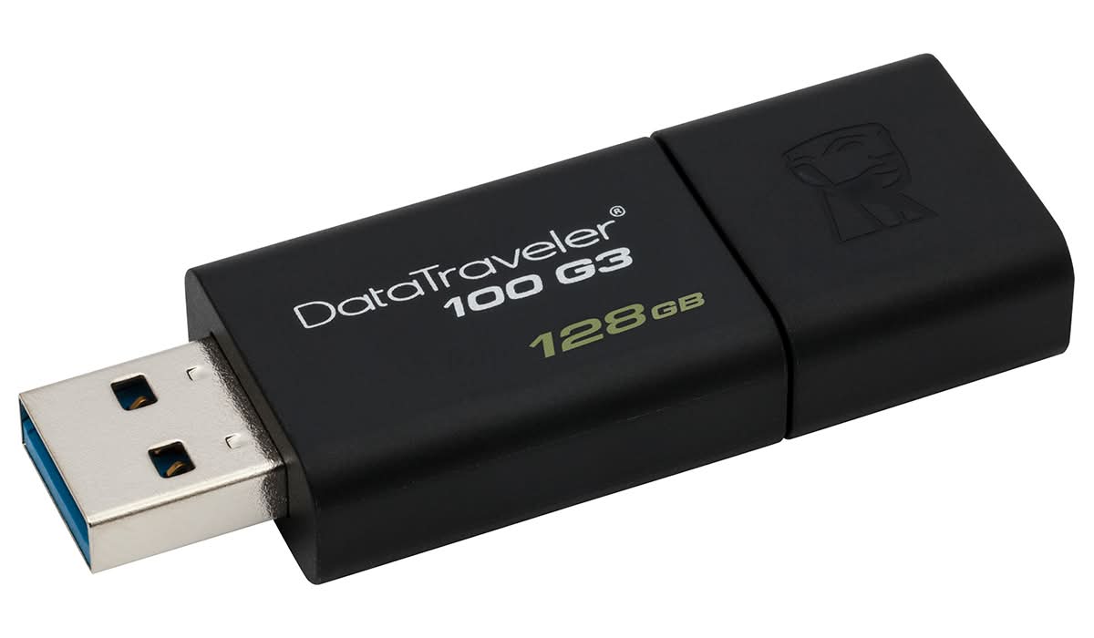 Kingston · Memoria usb (100 g)