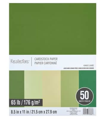 Recollections Cardstock Paper pack, 8.5x11 in, Forest (50 ct)