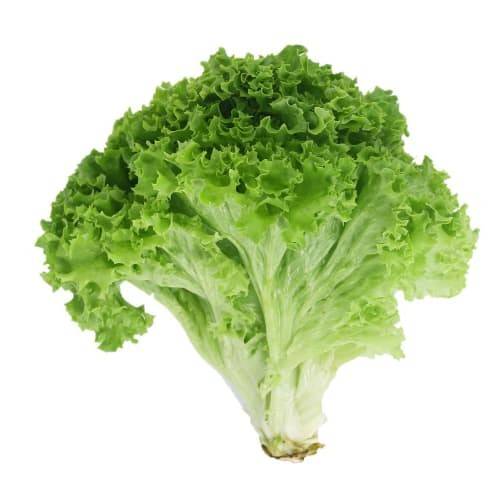 Order Lettuce Green Leaf Organic food online from Safeway store, Eureka on bringmethat.com