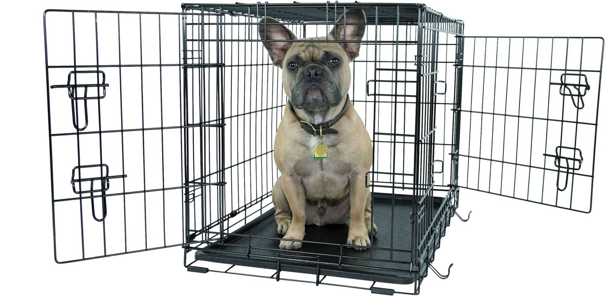 Play On Double Door Dog Crate, Large