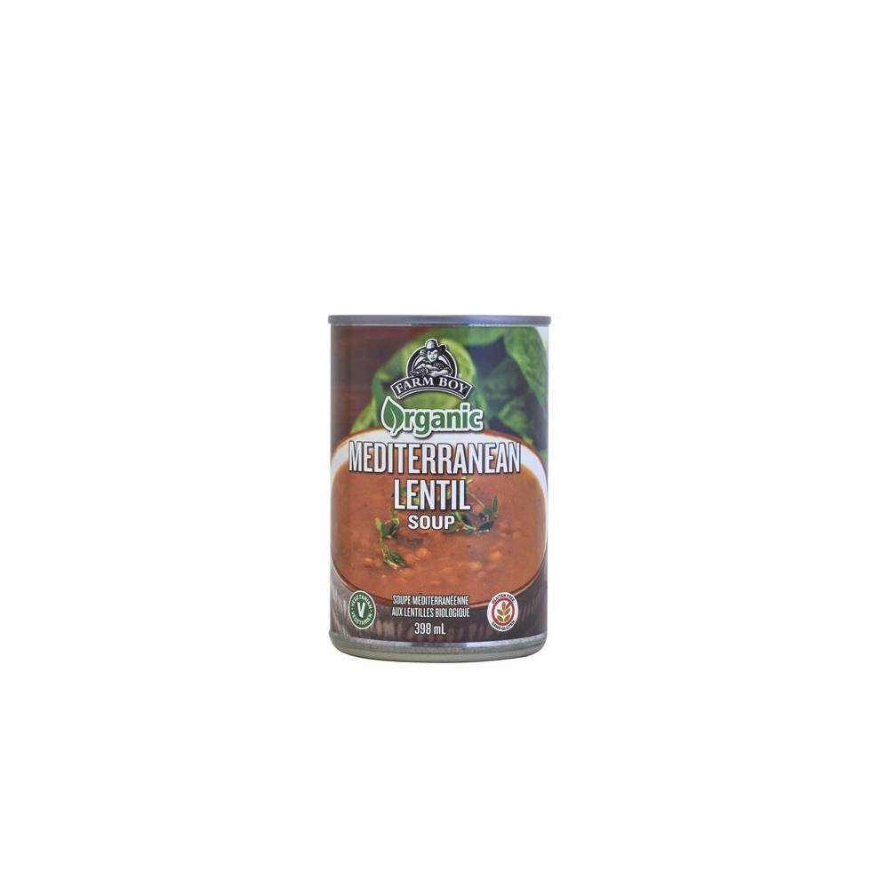 Farm Boy™ Mediterranean Lentil Canned Soup (398 ml)