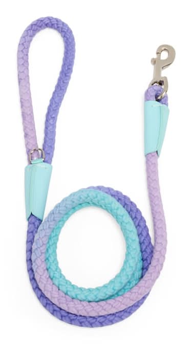 Youly Ombre Rope Dog Leash, 6-ft long, 1/2-in wide, Blue/Purple