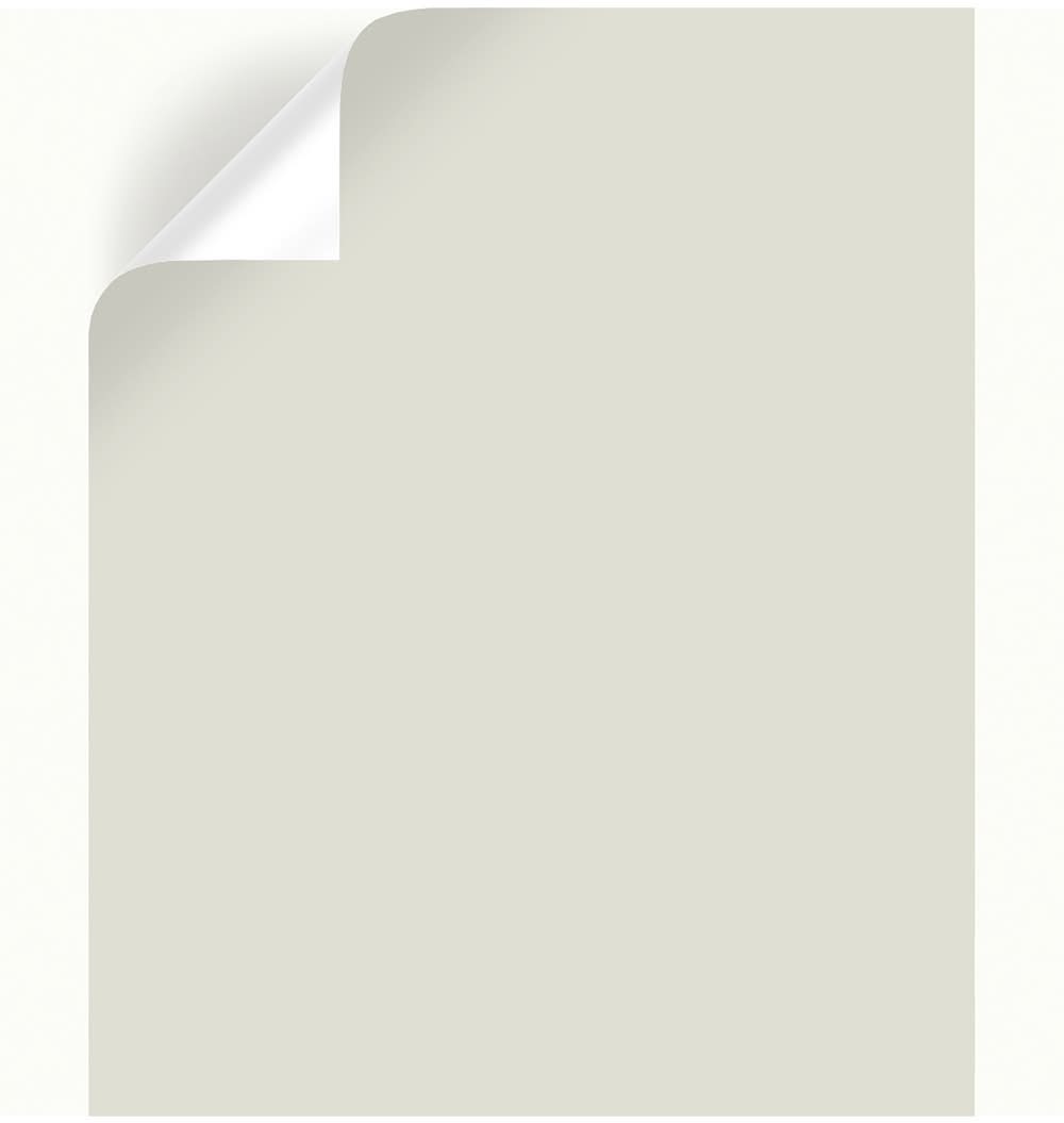 Magnolia Home By Joanna Gaines One Horn White Peel & Stick Color Sample