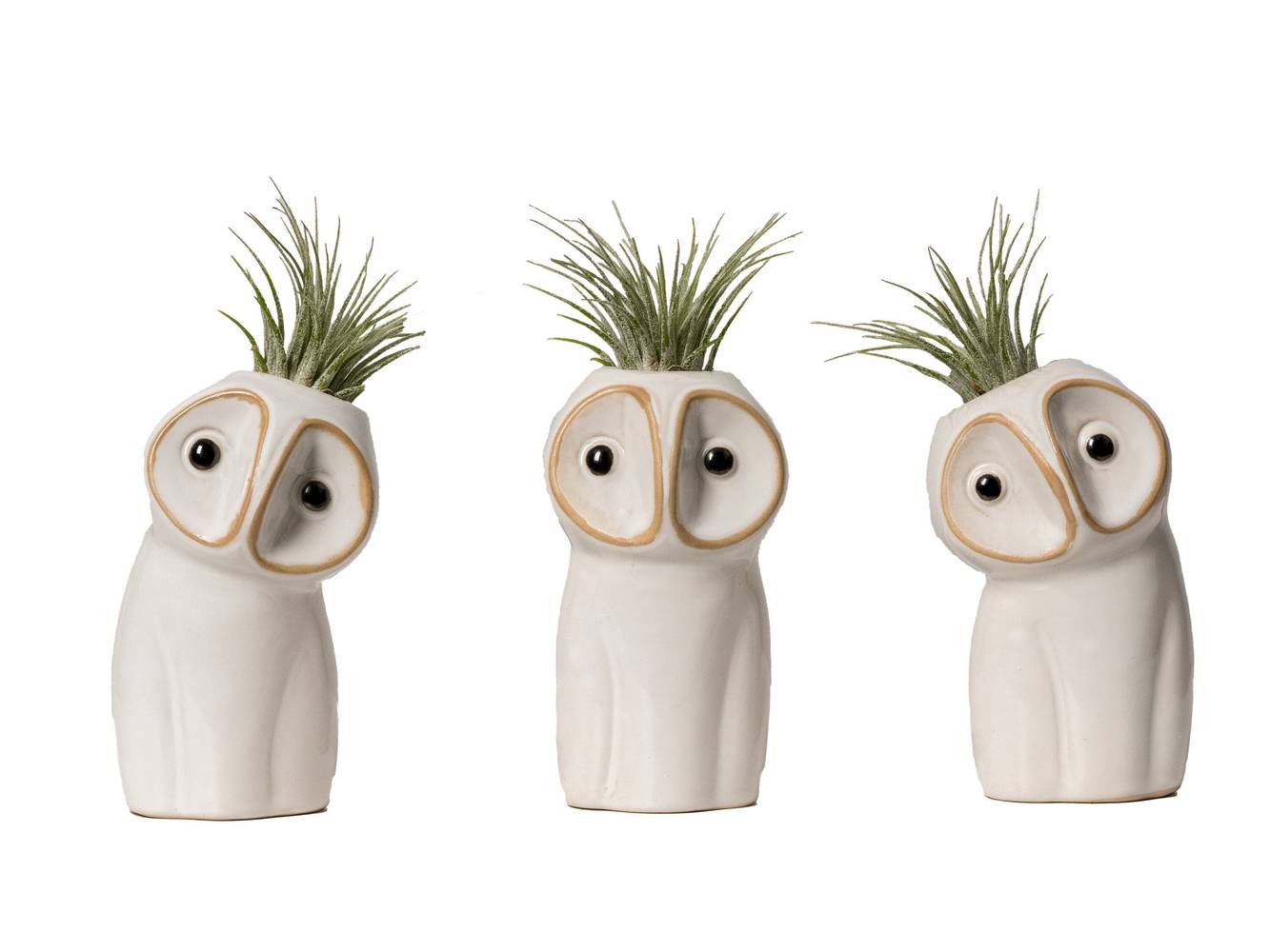 LiveTrends Barn Owl House Plant in 1-Pack Pot | ASB06277