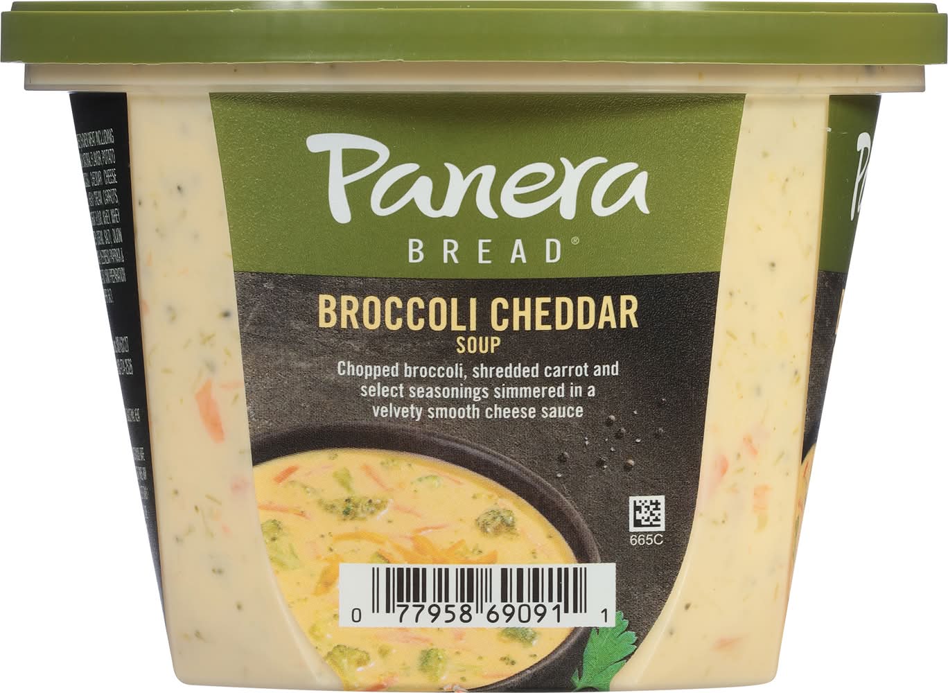 Panera Bread Flavored Soup, Broccoli Cheddar (16 oz)