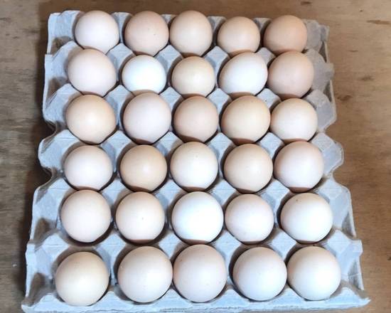 有機放養山土雞蛋蛋1盒10顆600克(玉菁蔬菜/D012-6)
