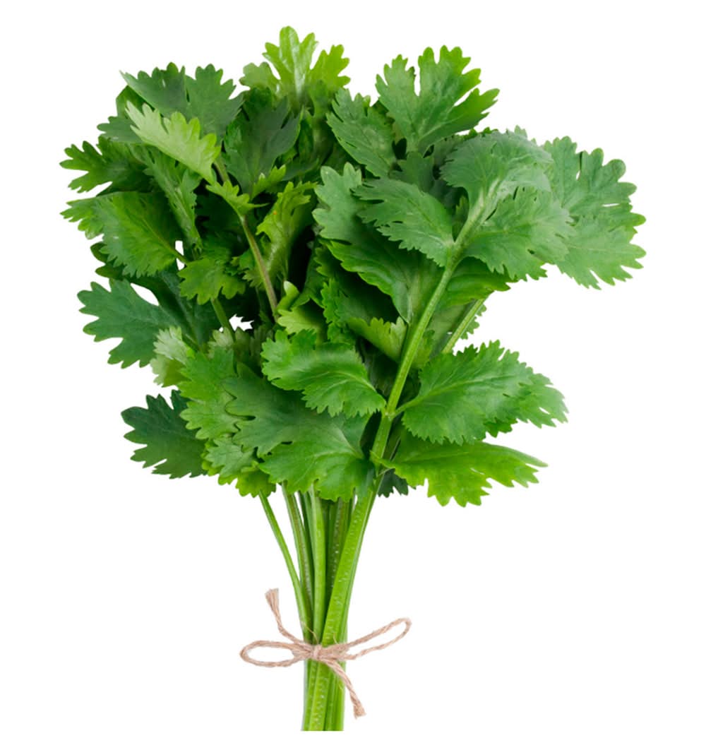 Cilantro (120 g)