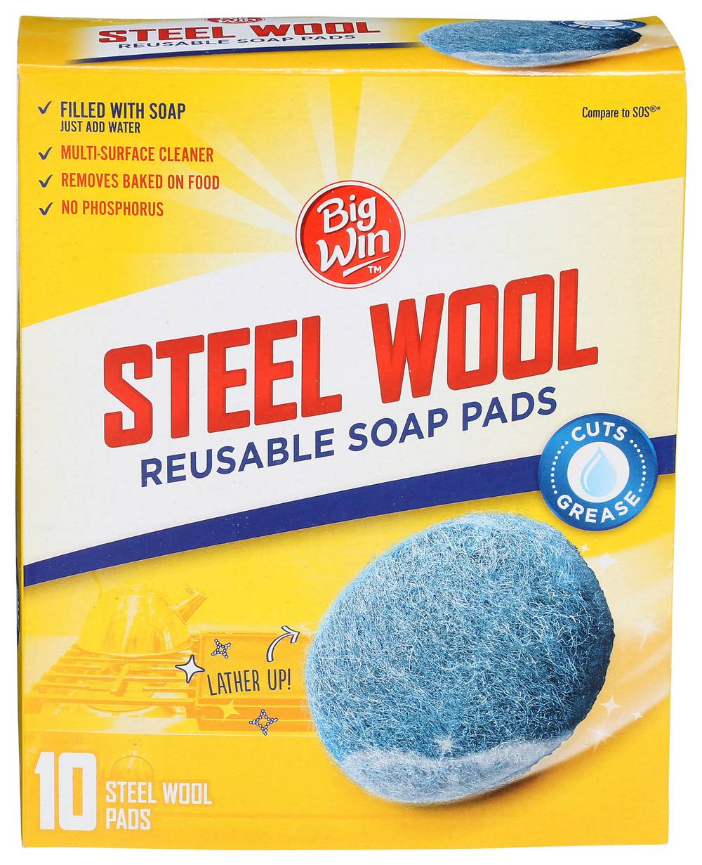 Big Win Steel Wool Reusable Soap Pads (10 ct)