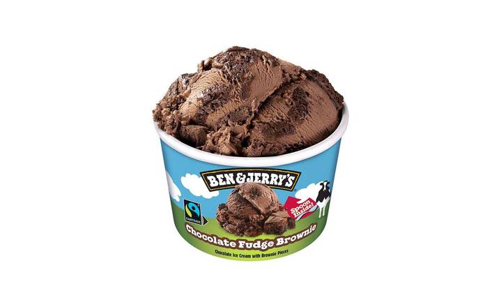 100ml Chocolate Fudge Brownie - Ben & Jerrys™