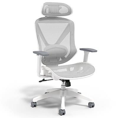 Staples Dexley Ergonomic Mesh Swivel Task Chair (gray)