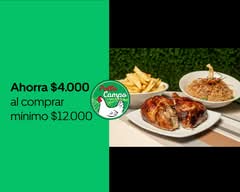 Pollo Campo 12 Norte