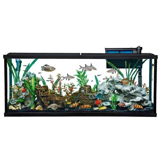 Top Fin® Essentials Aquarium Starter Kit (Size: 55 Gal)