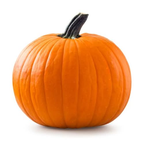 Knucklehead Pumpkins