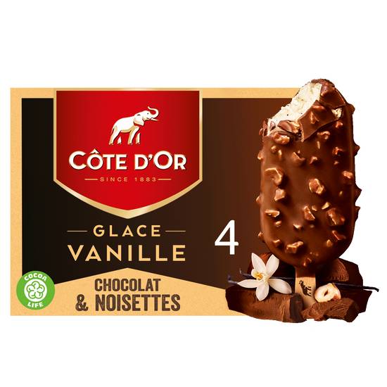 Cote D'or - Glacés vanille chocolat lait et noisettes (4 pièces)