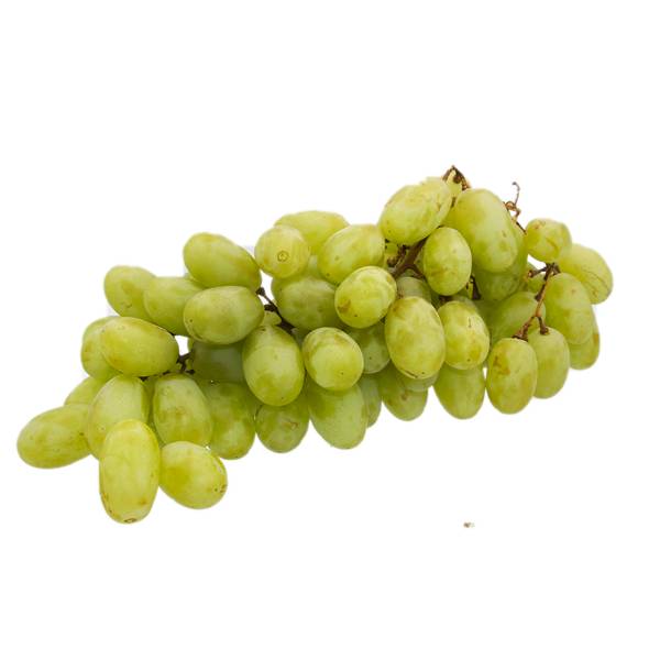 Green Seedless Grapes