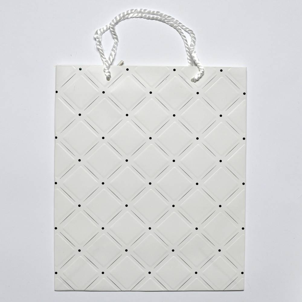 Paper Gift Bag Embossed Design