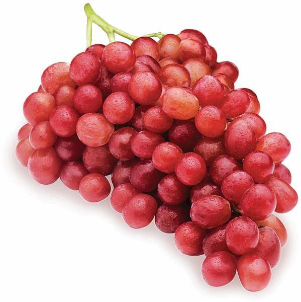 Holiday Red Seedless Grapes