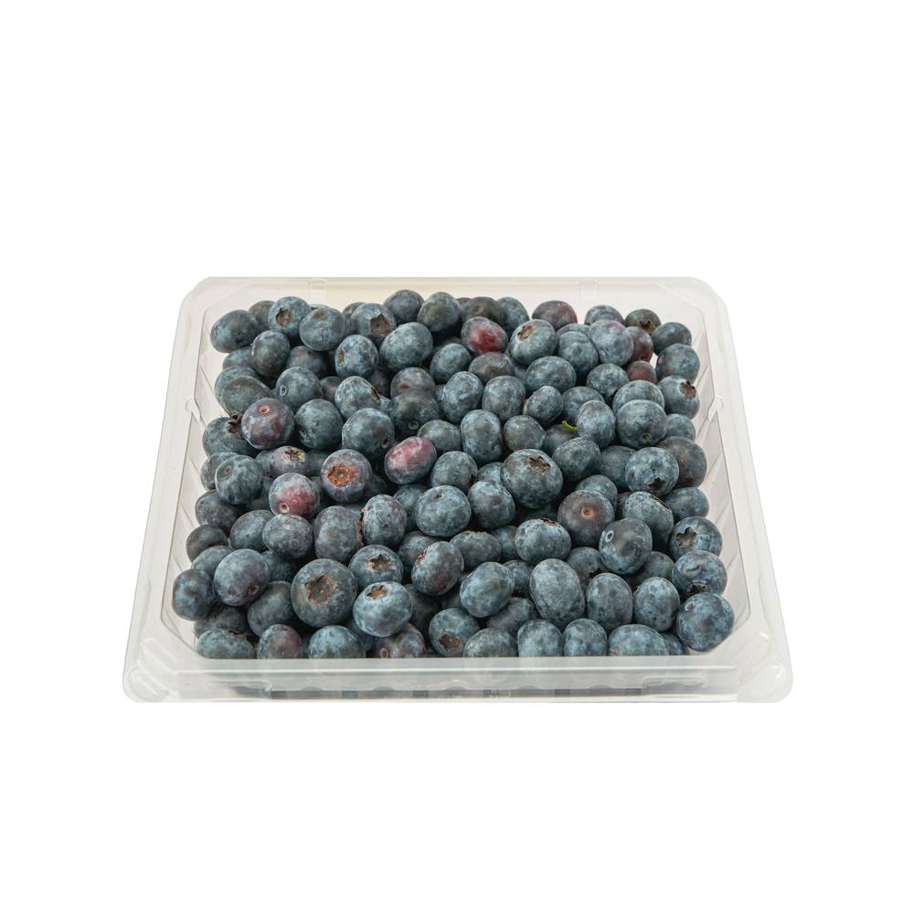 Driscoll's blueberries 