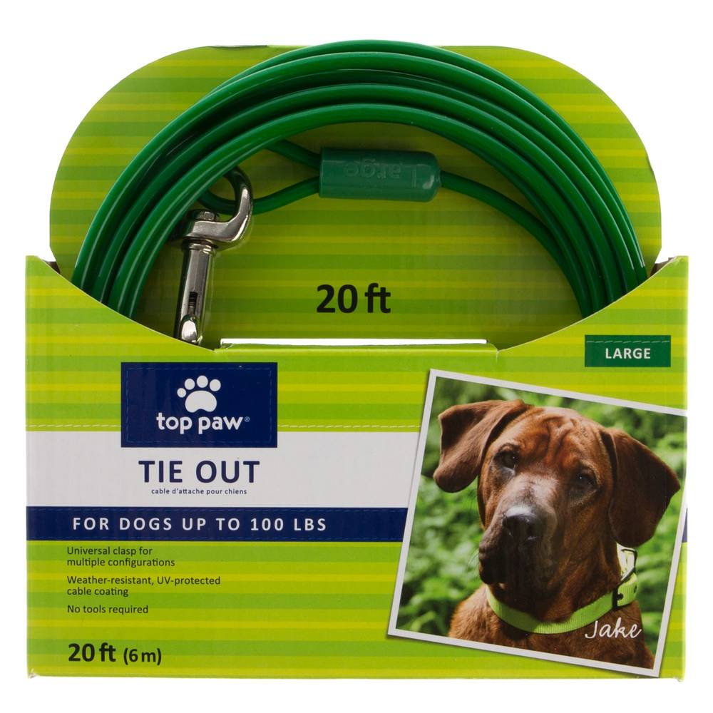 Top Paw® Dog Tie Out (Color: Green, Size: 20 Ft)