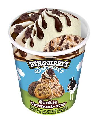 Ben & Jerry's Sundae Cookie Vermontster Ice Cream 427Ml