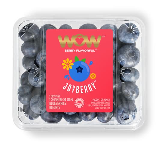 WOW Joyberry Blueberries