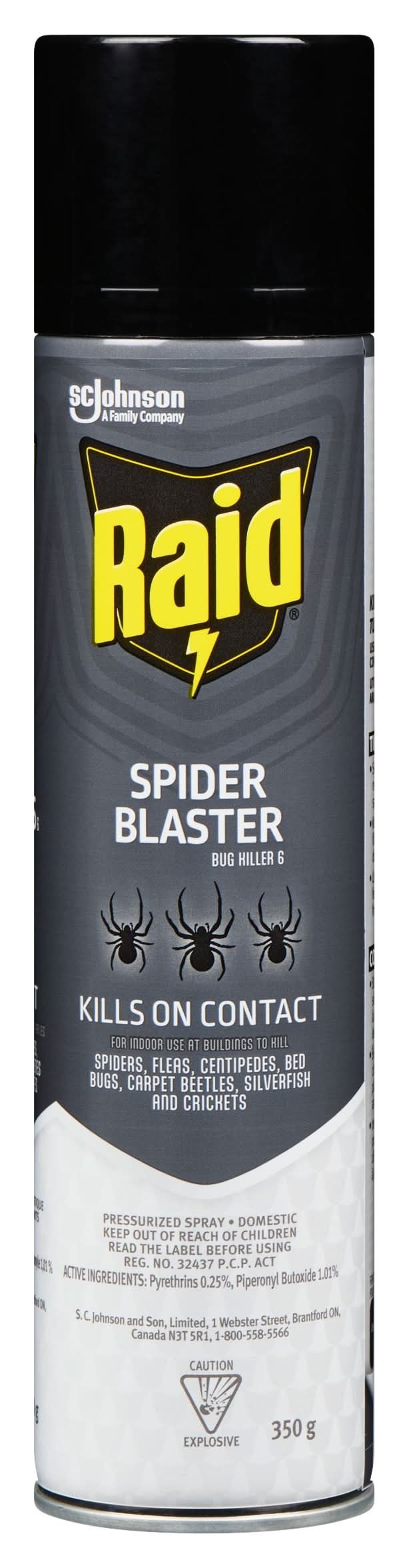Raid Spider Blaster Insect Killer Spray (350 g)
