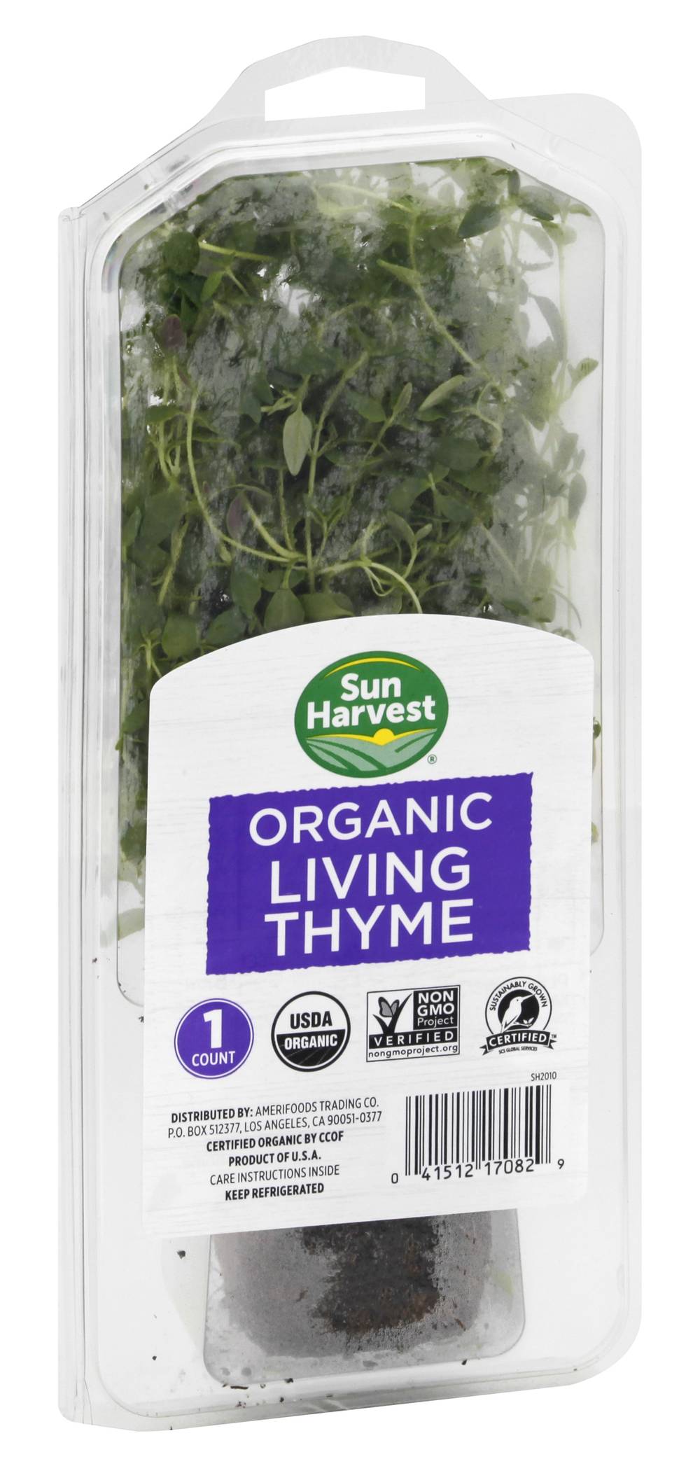 Sun Harvest Organic Living Thyme