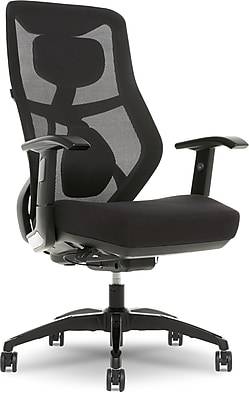 Beautyrest Duo-EX Ergonomic Mesh Swivel Task Chair, Black/Gray (60051GRY)