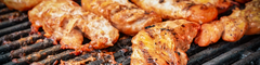 The Skybound Wings (3200 Fulton Ave)