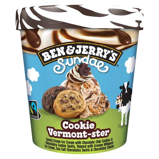 Ben & Jerry's Ice Cream Cookie Vermont-ster Sundae 427 ML