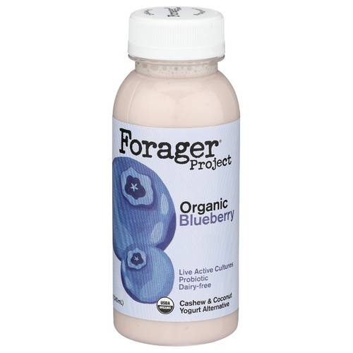 Forager Organic Blueberry Probiotic Cashewmilk Yogurt