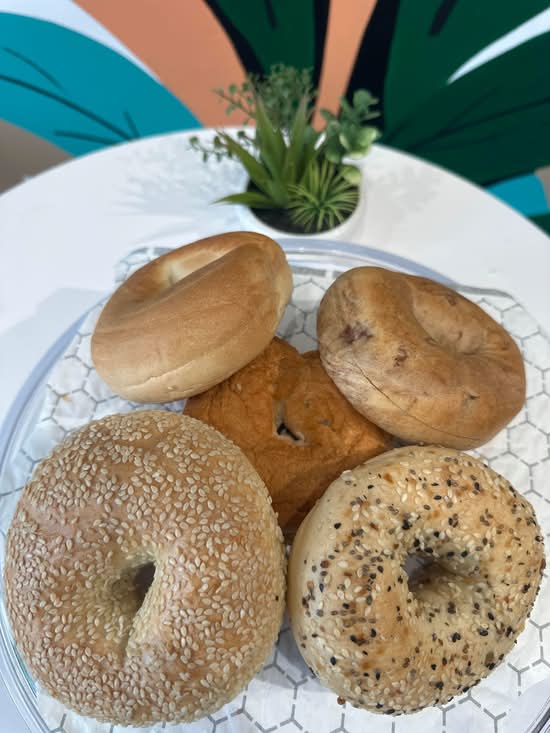 Traditional Plain Bagel