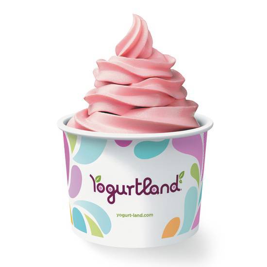 18oz Frozen Yogurt