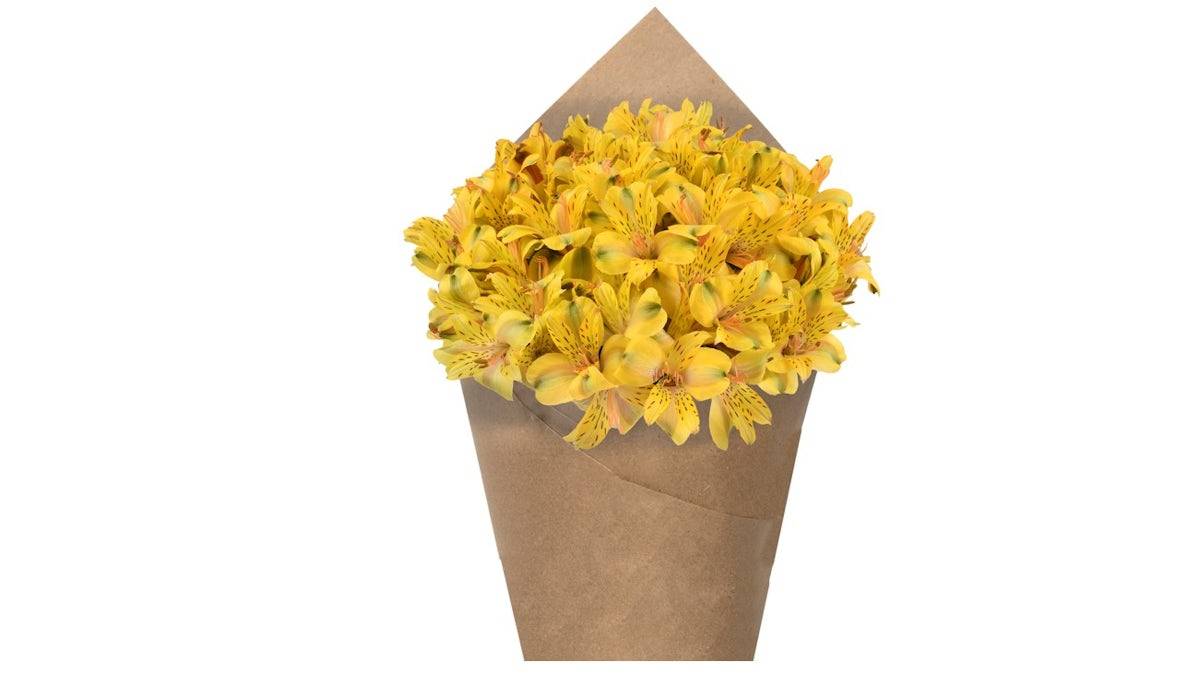 Alstroemeria Bunch - Yellow, 6 stem