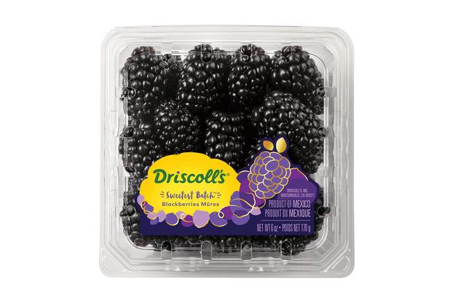 Driscoll's Sweetest Batch Blackberries