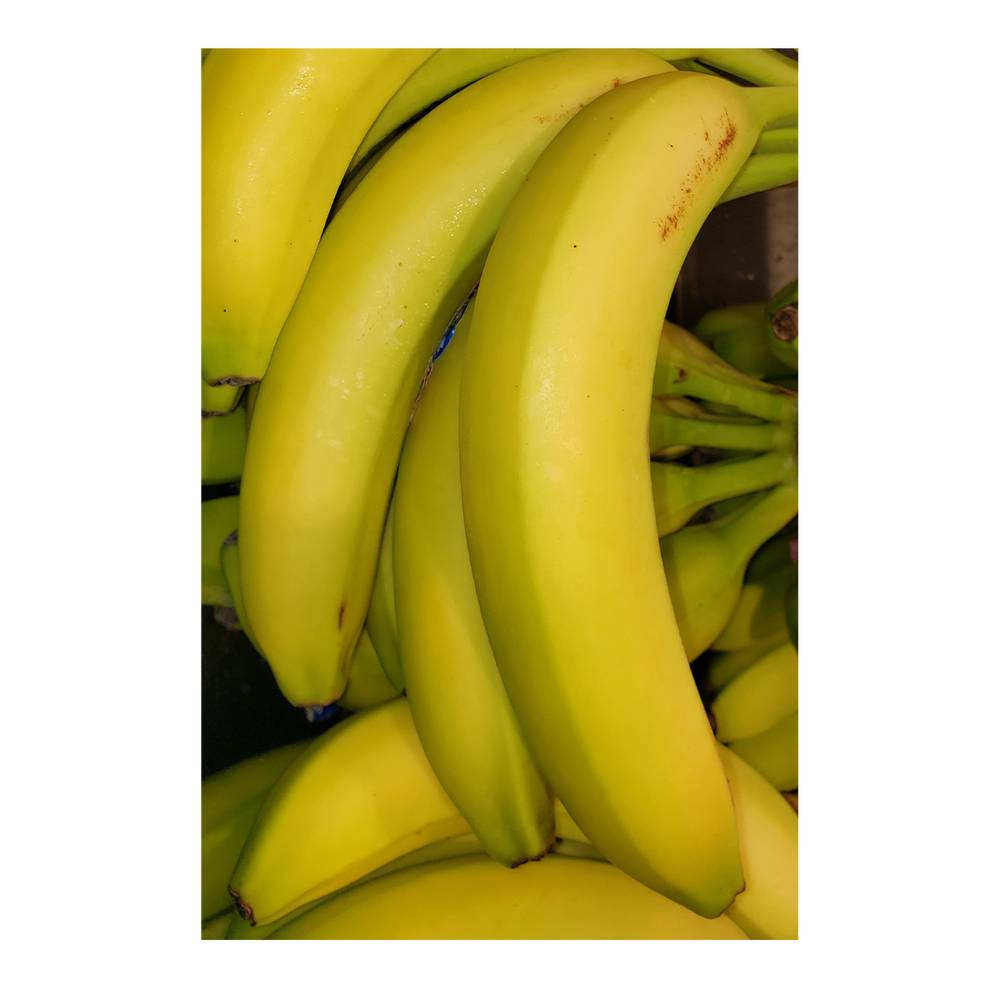 Bananas Organic