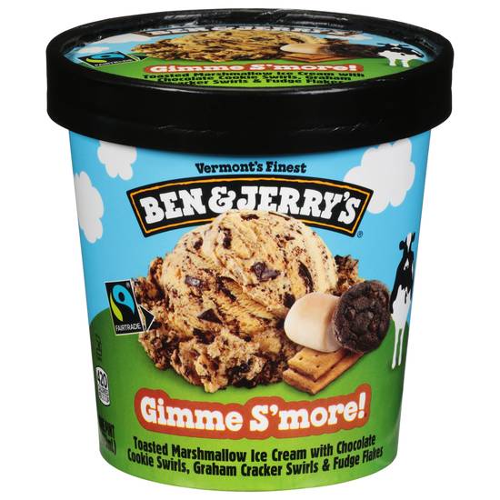Ben & Jerry's Ice Cream (gimme s'more chocolate)