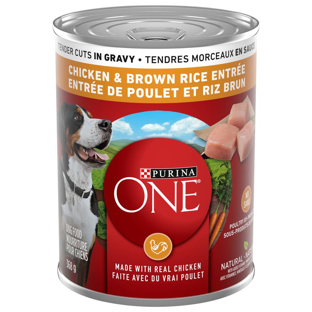 Purina One Chicken & Brown Rice Wet Dog Food (368 g)