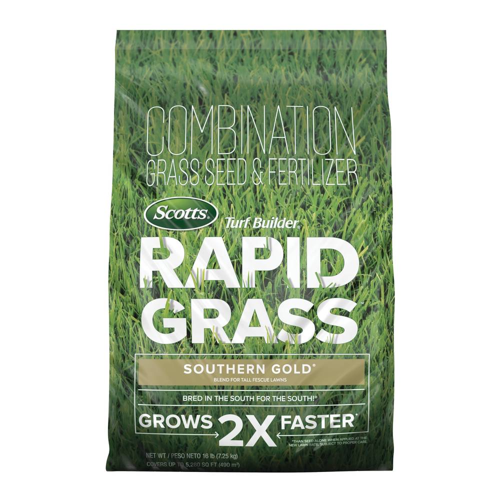 Scotts Rapid Grass Southern Gold 16-lb Tall Fescue Grass Seed | 18412