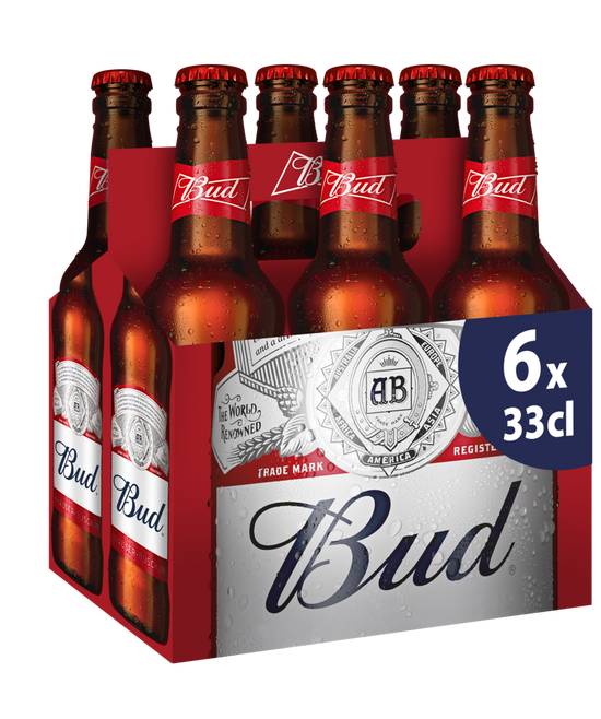 Bud - Bière blonde (6 pièces, 330ml)