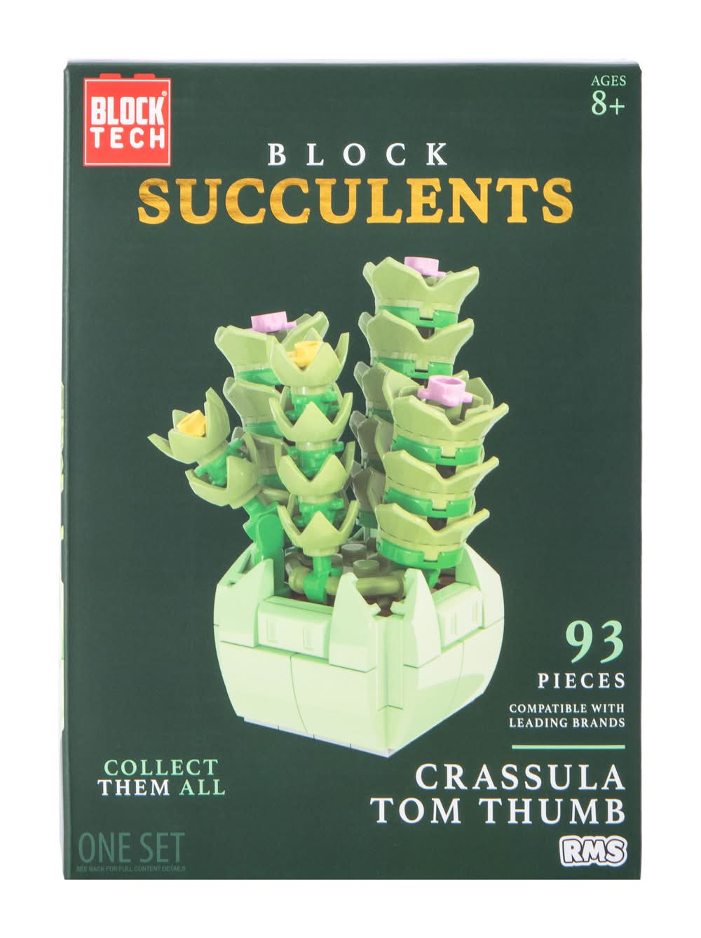 Block Tech® Block Succulents Set Crassula Tom Thumb