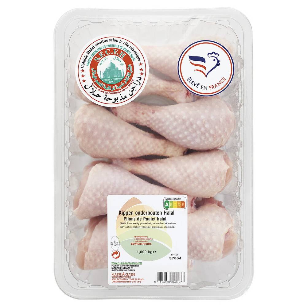 Pilons de poulet halal (9)