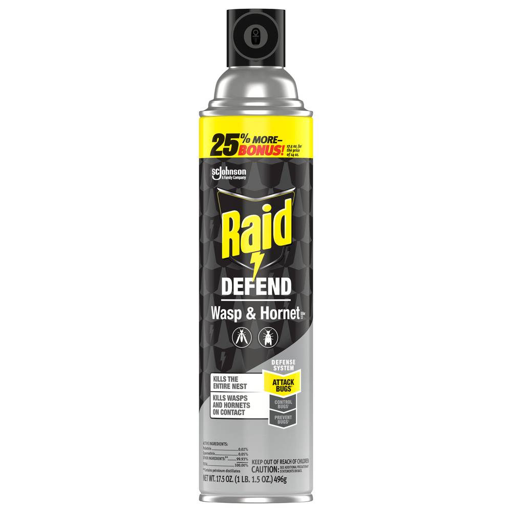 Raid Defend Wasp & Hornet Killer Stinging Bug Insecticide